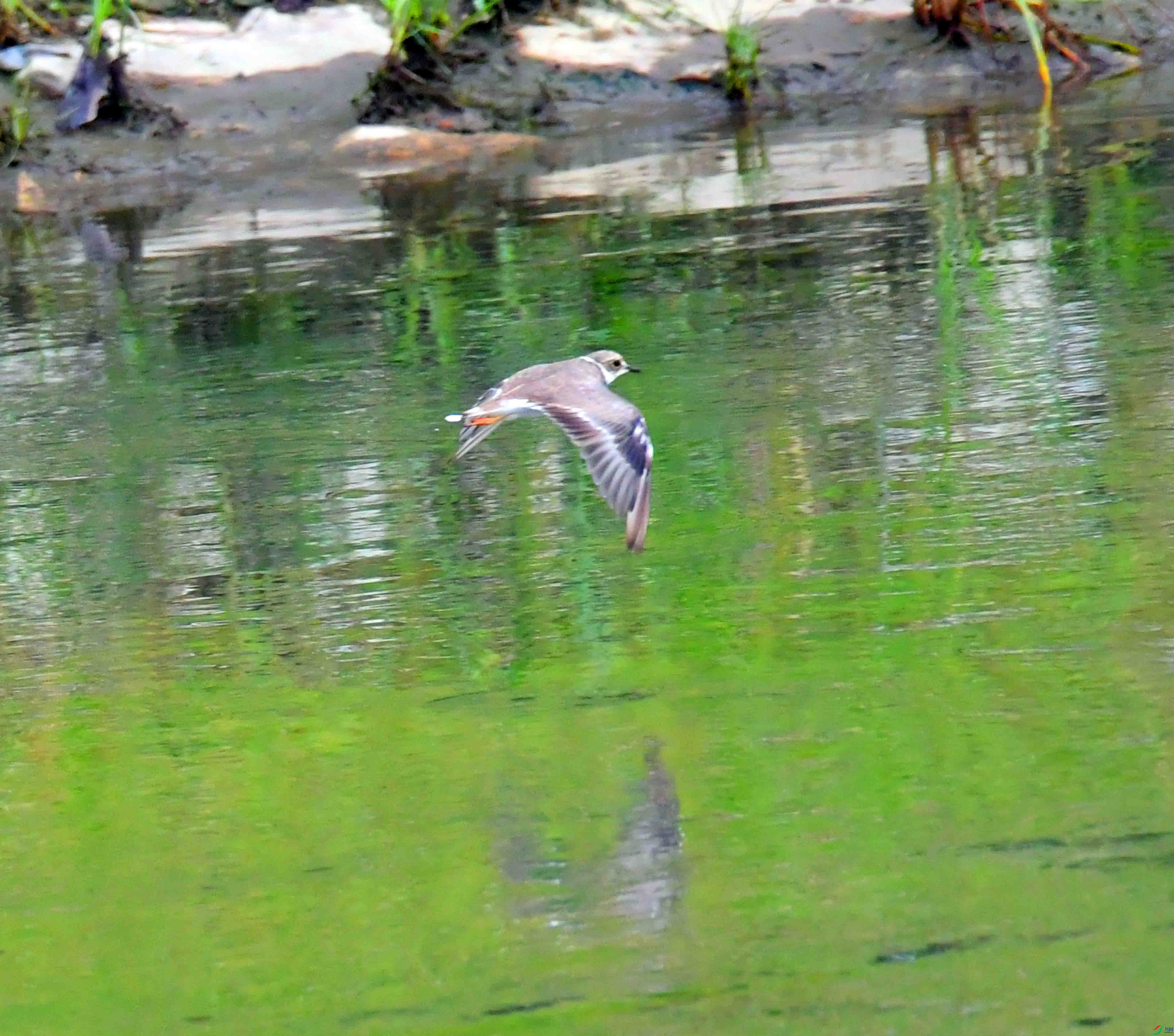 DSC_5473.JPG