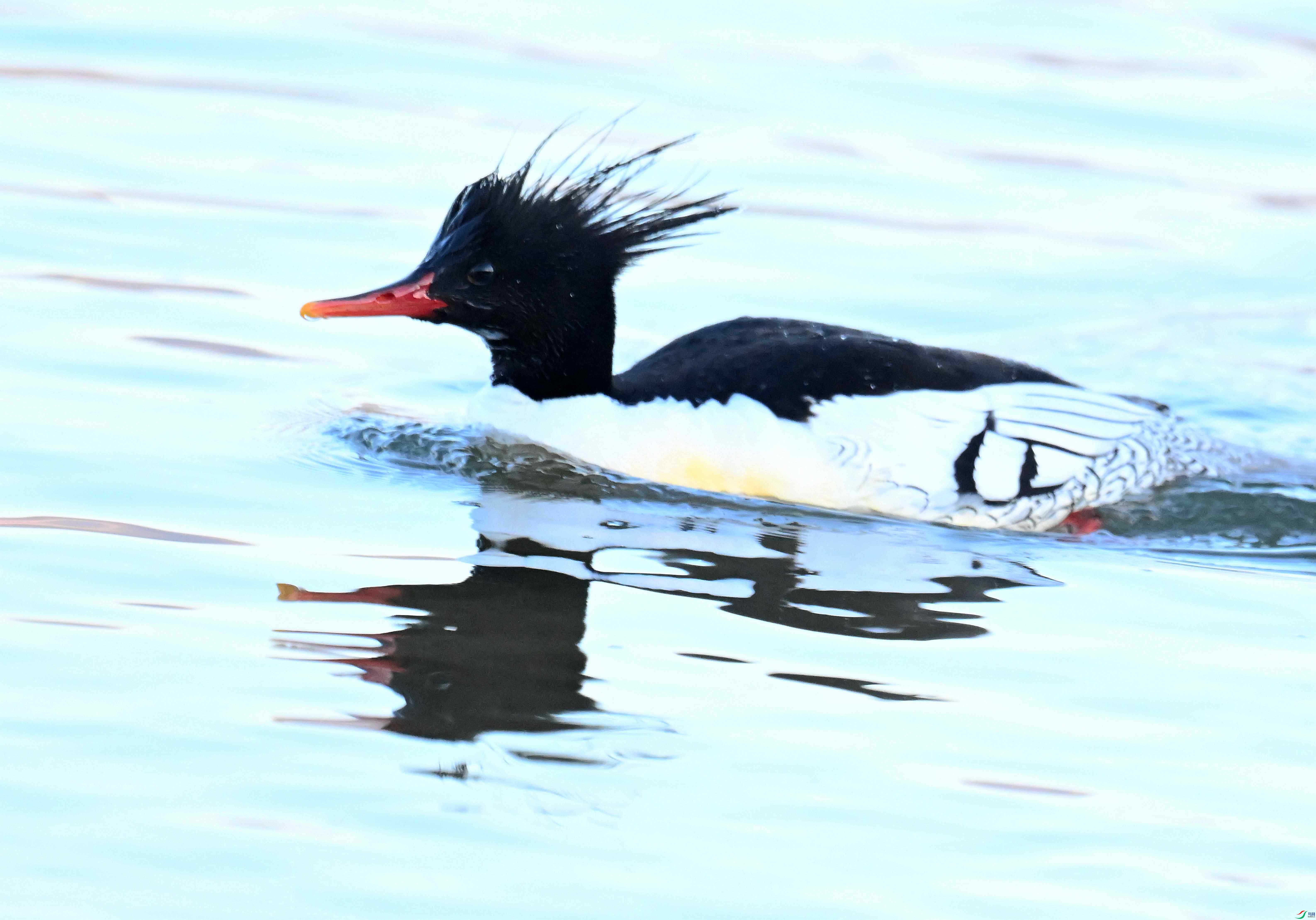 DSC_6374.JPG