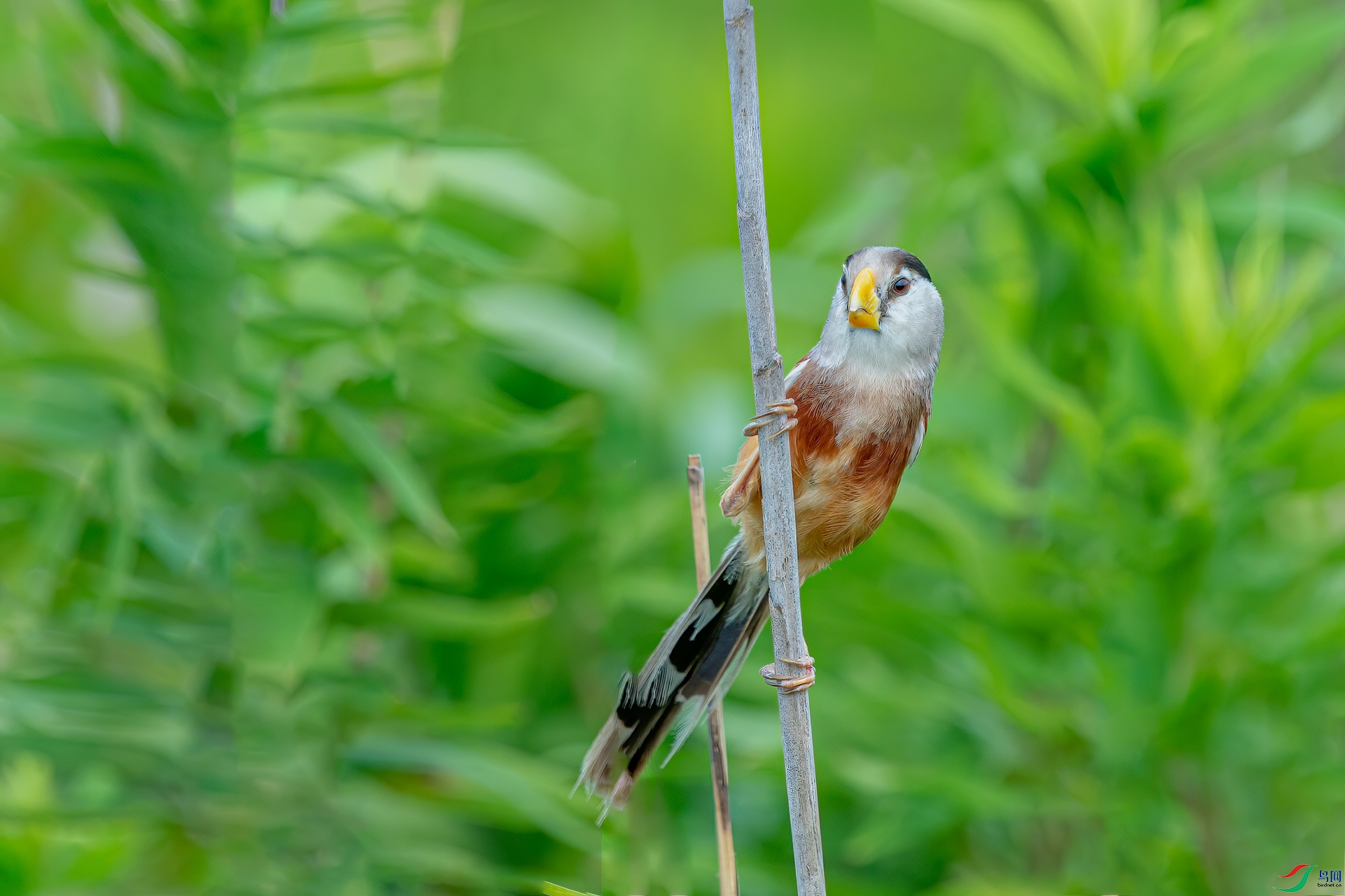 _DSC8165-1.jpg
