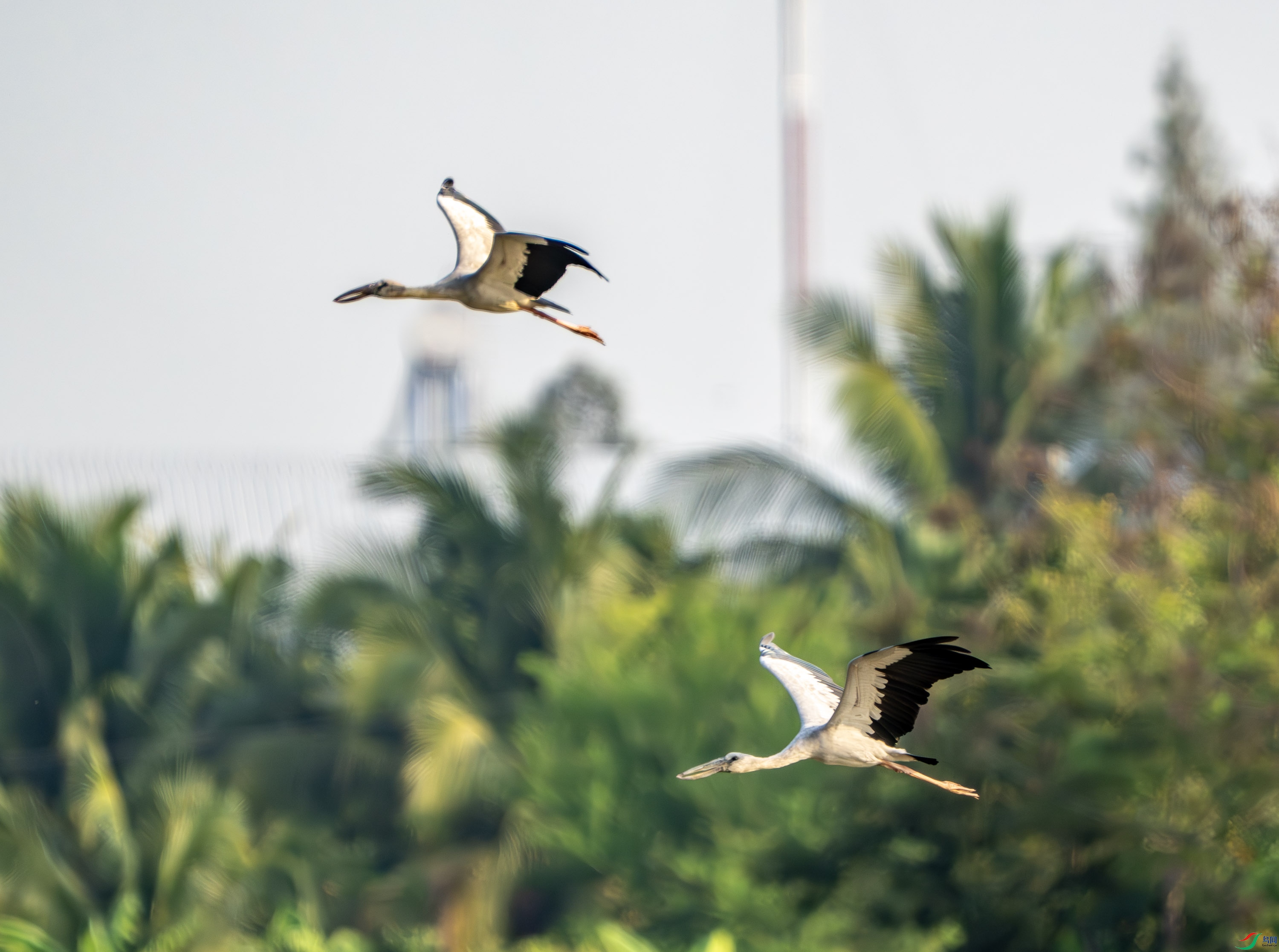 ǯ����-24.jpg