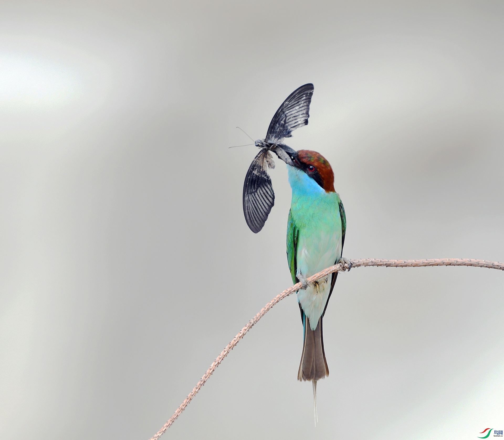 DSC_1138.jpg
