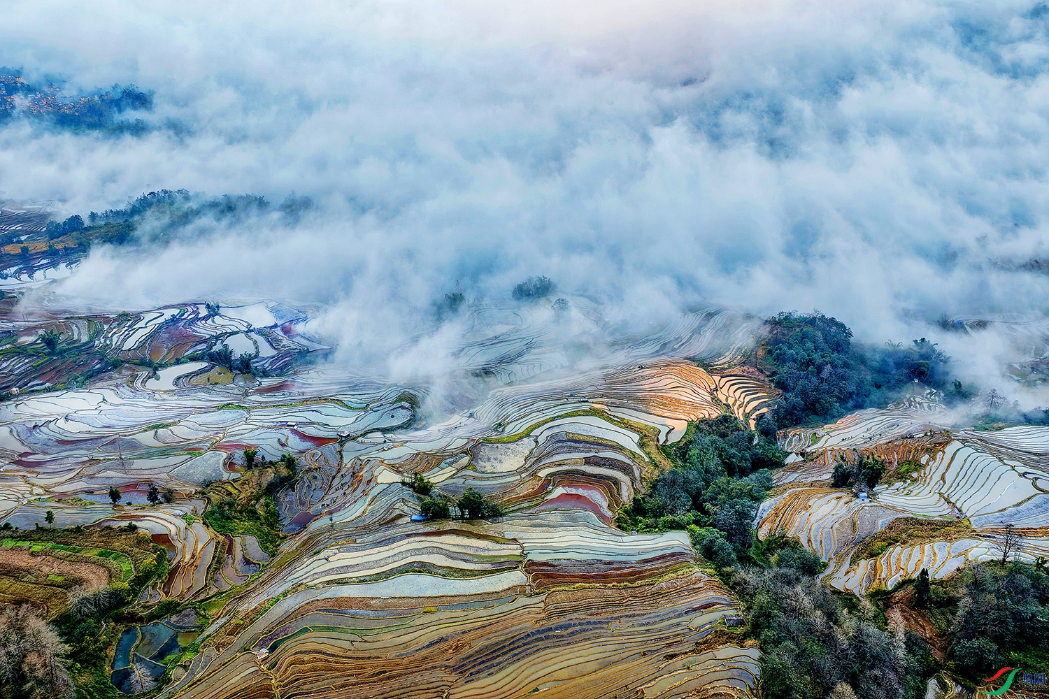 DJI_20260105182817_0017_D.jpg