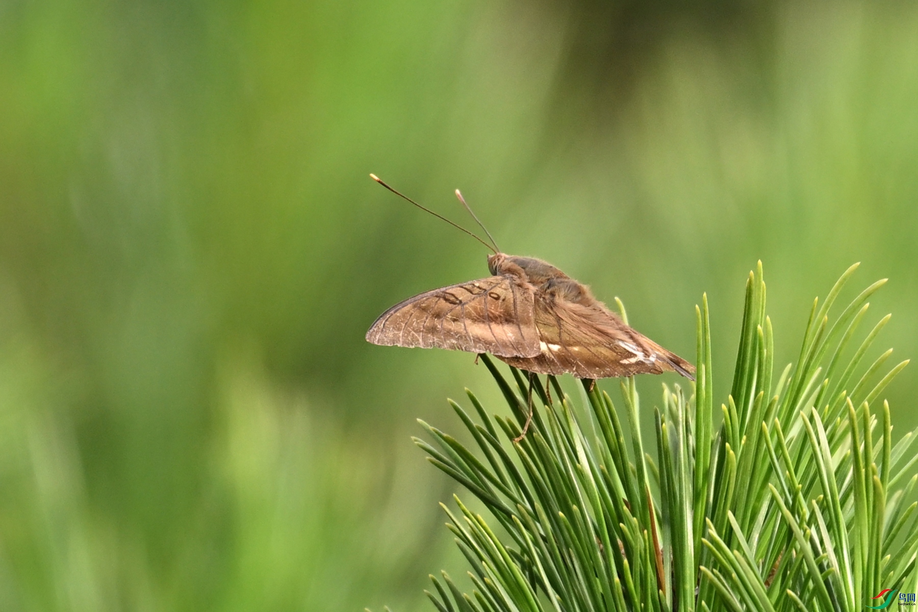 DSC_2356.JPG