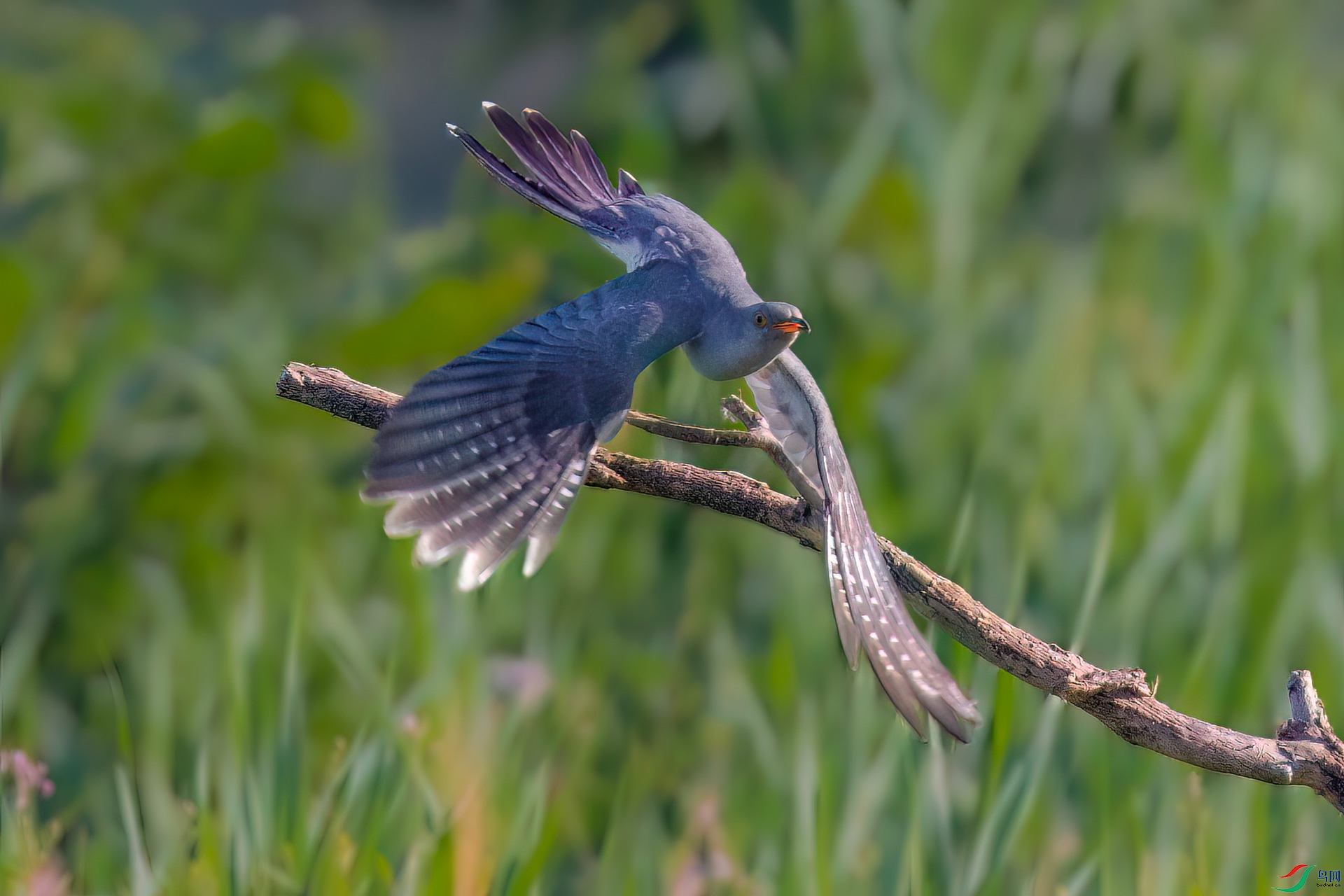 1P8A1244-����.jpg
