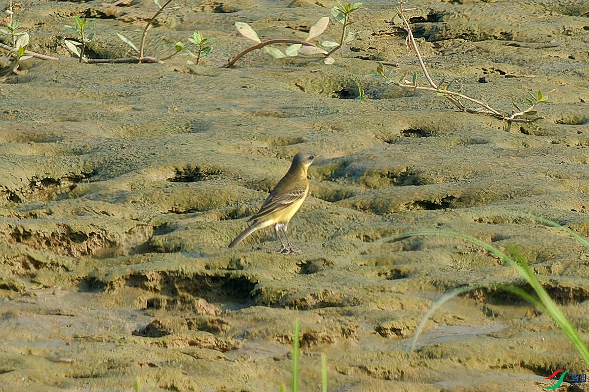 P8160020_DxO.jpg