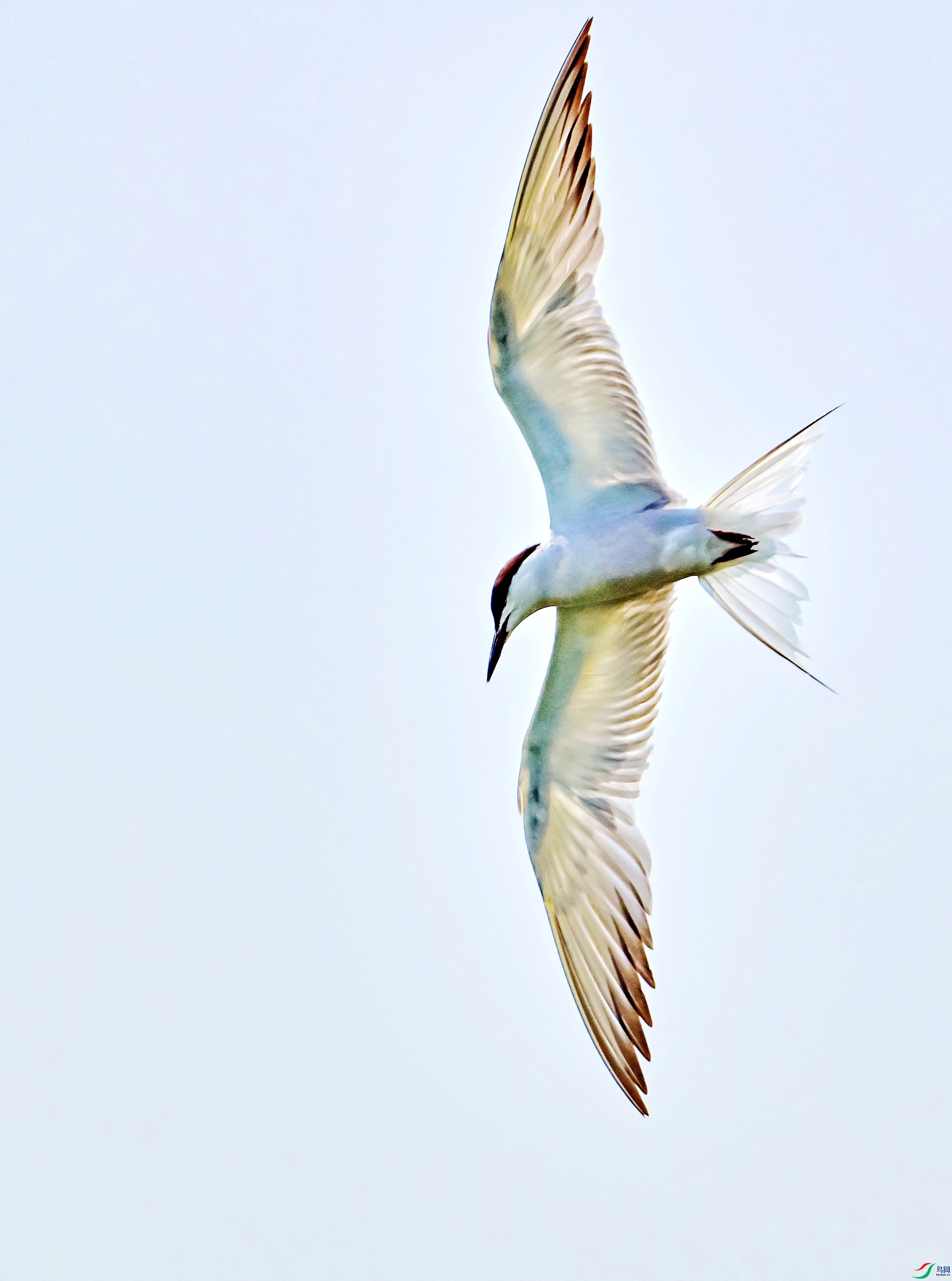 DSC_0384չ��߿�.jpg