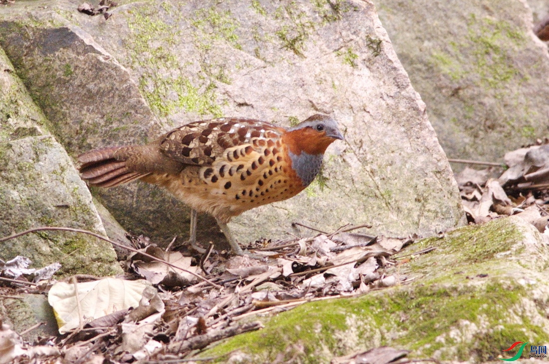 DSC_7508z_������С.jpg