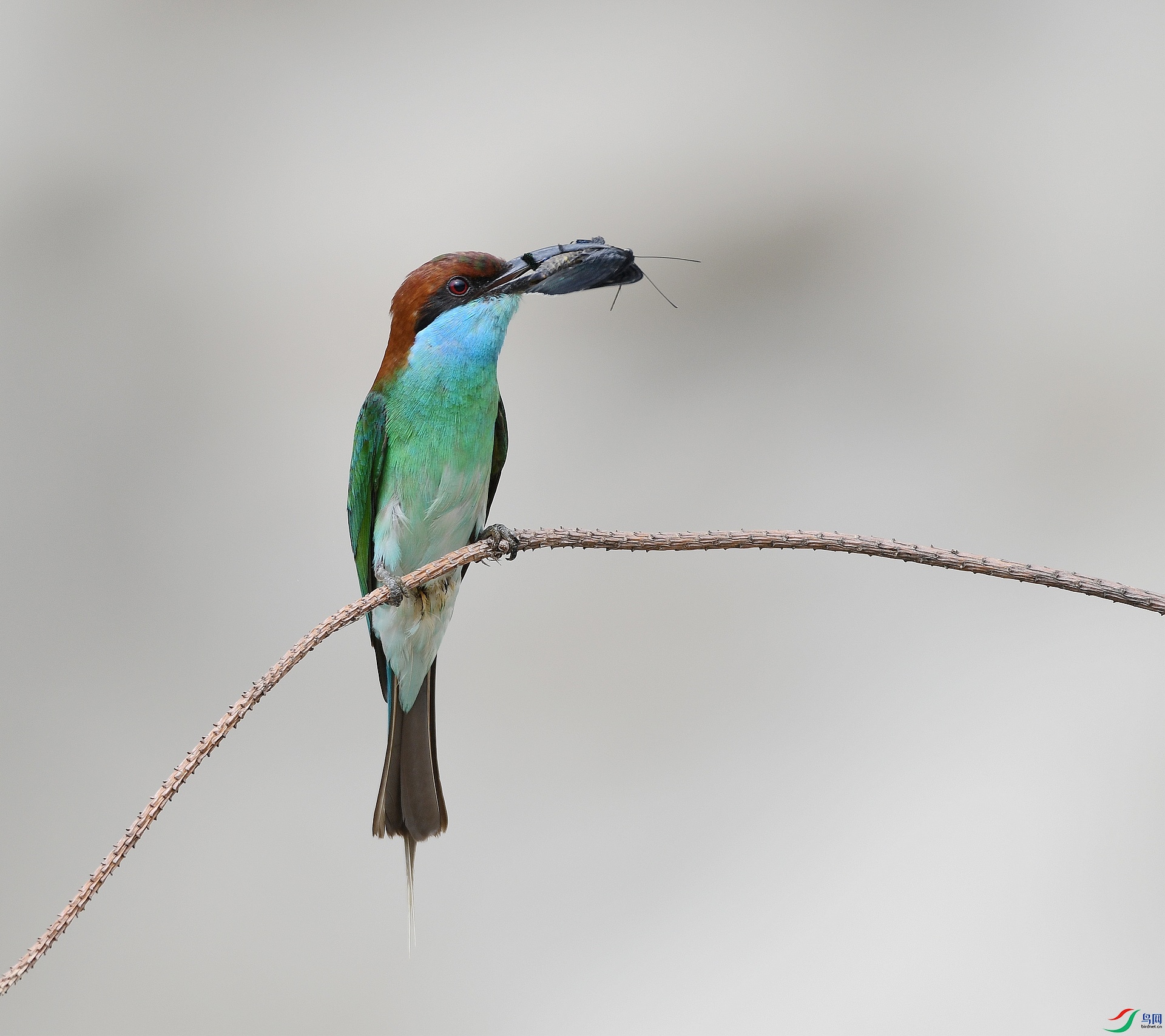 DSC_1168.jpg