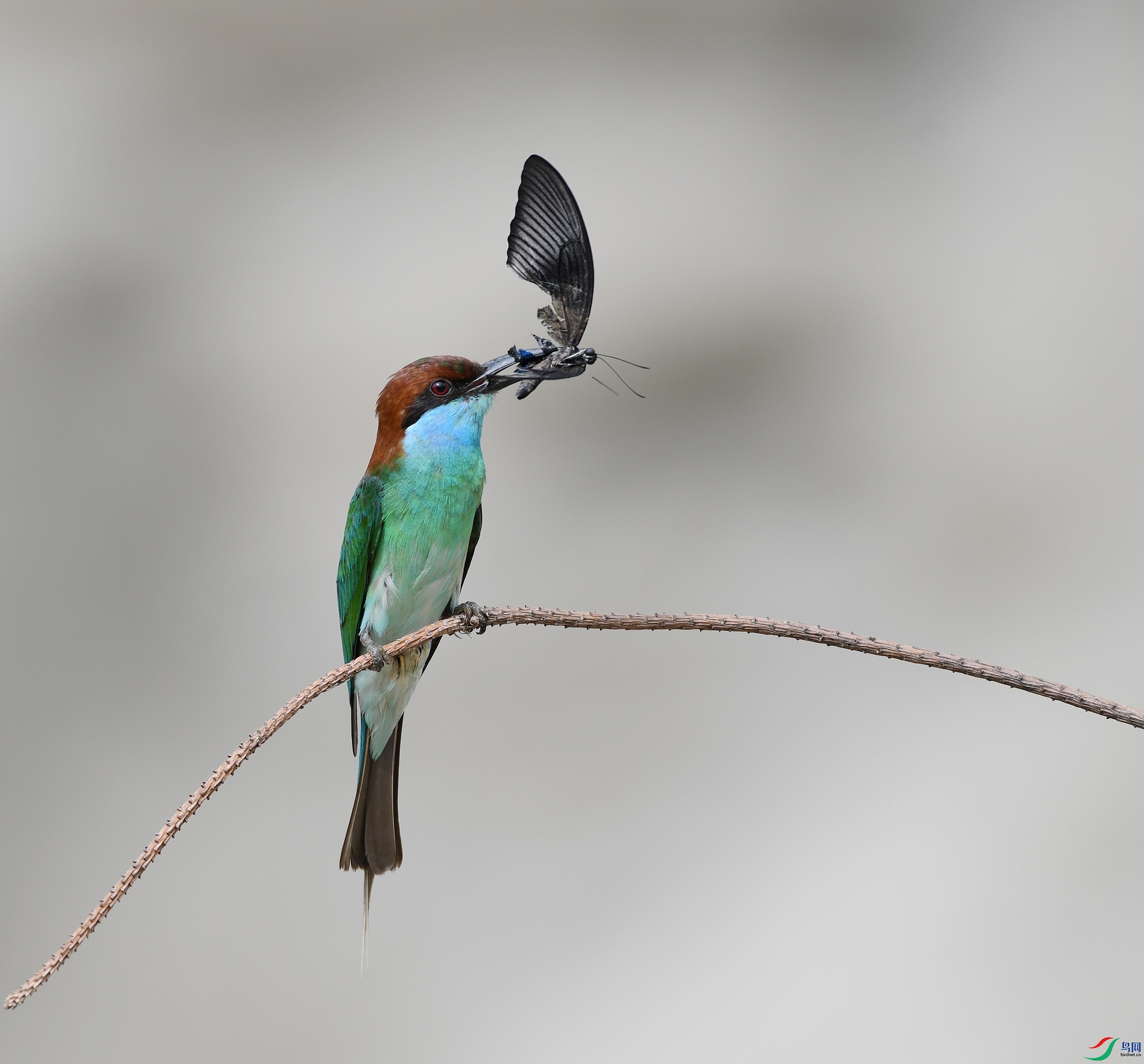 DSC_1189.jpg