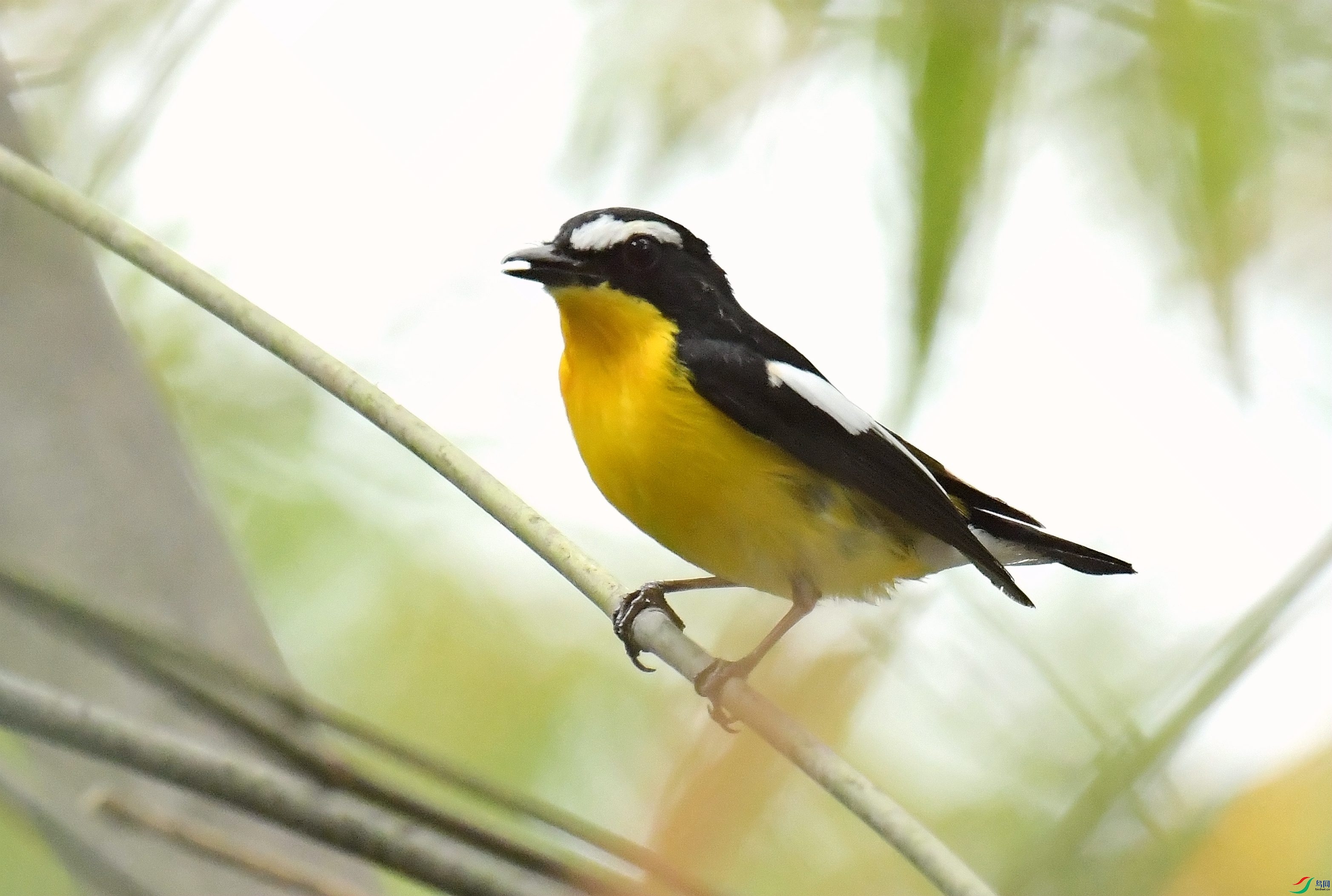 DSC_7689.JPG