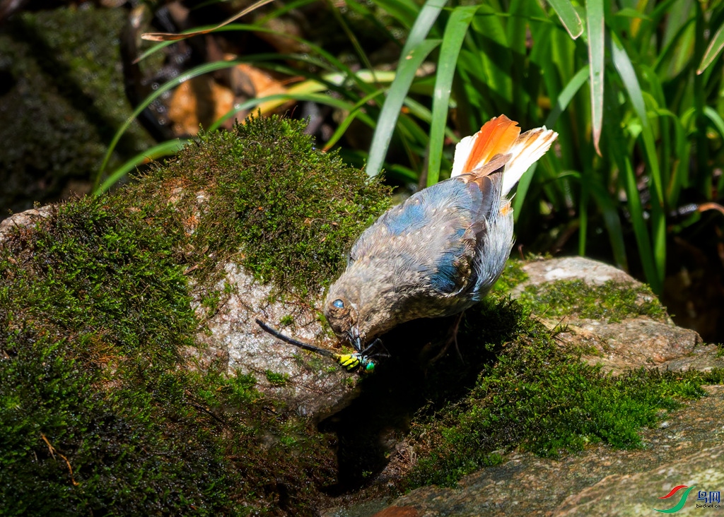 _DSC9677.jpg