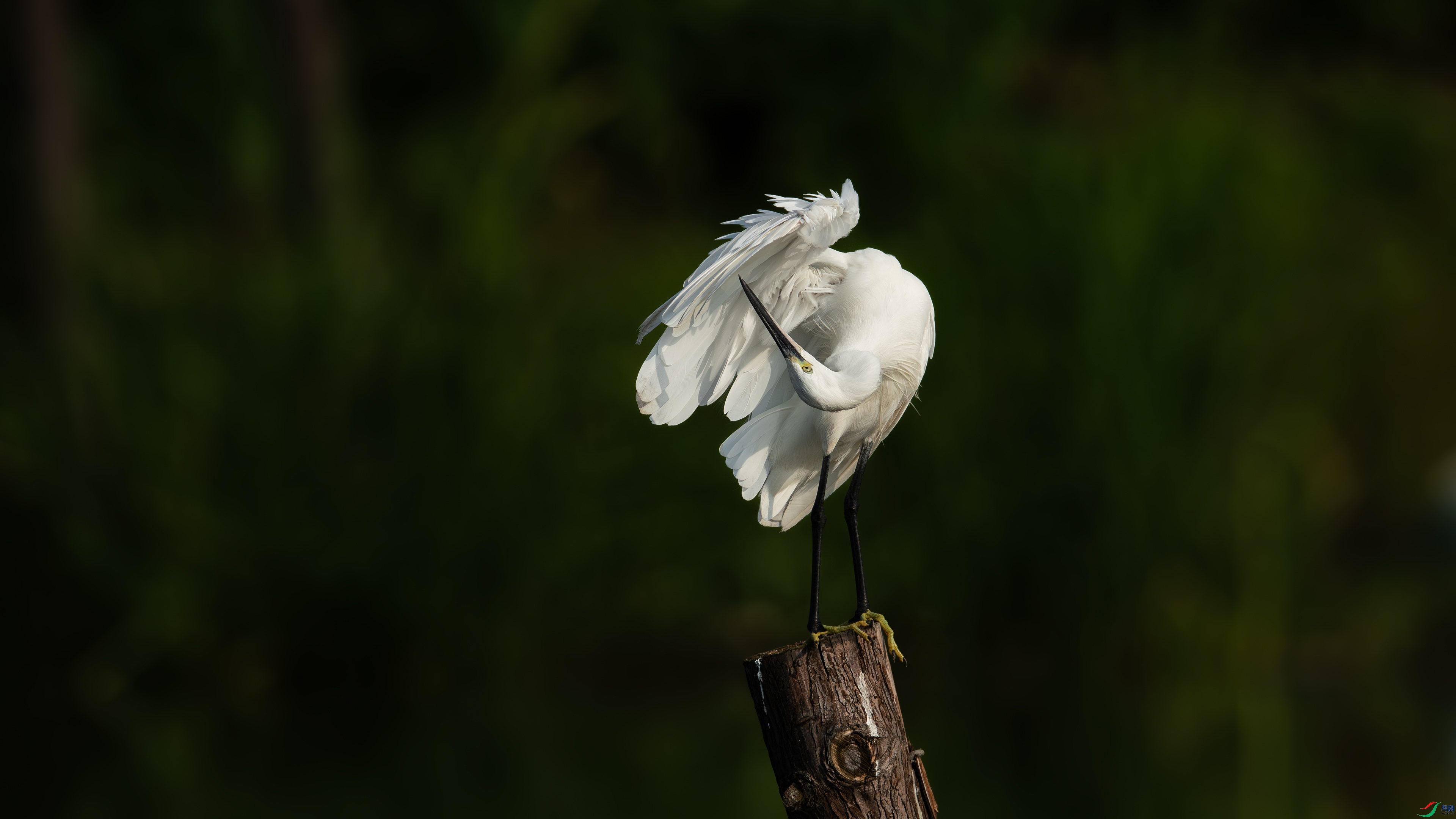 _DSC4023.jpg
