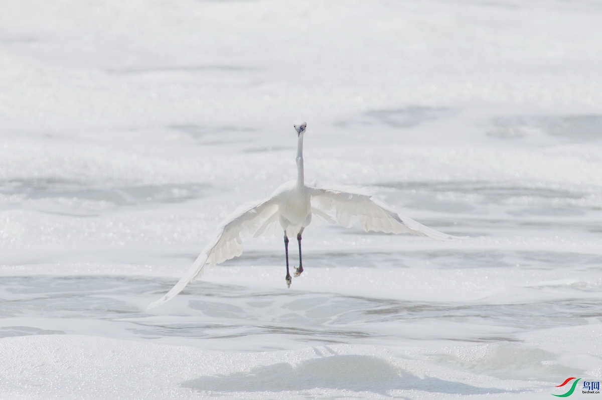 _DSC7678z_������С.jpg