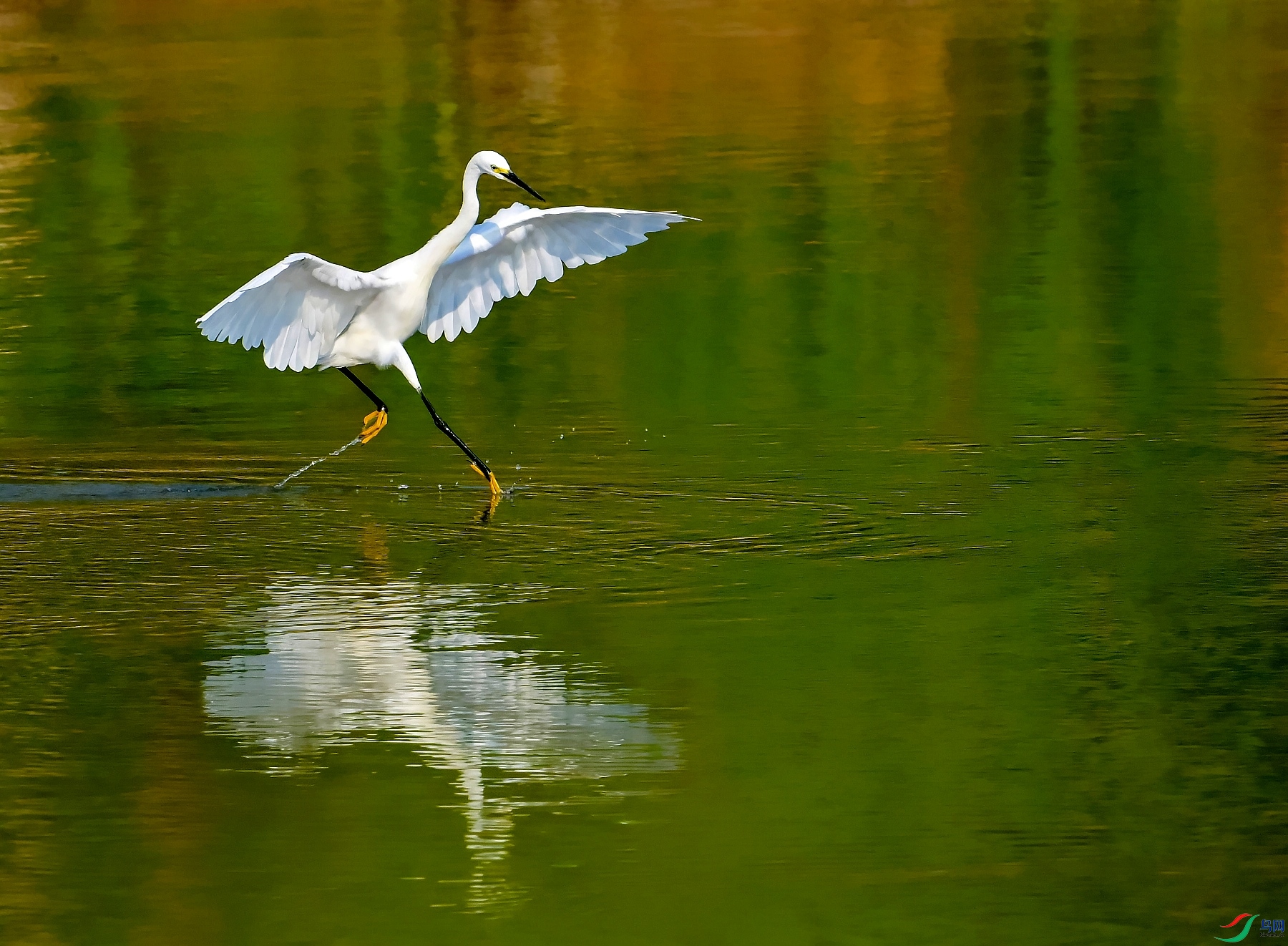 DSC_5652ˮ��Ư.jpg