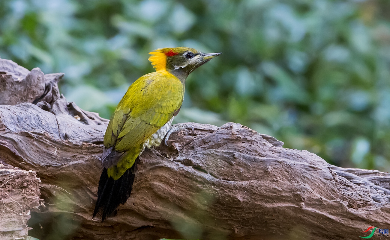 DSC_07761.jpg