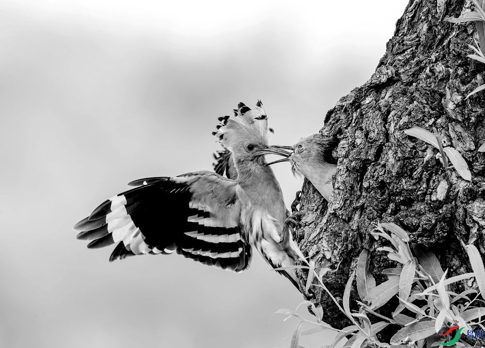 e5512_����.jpg
