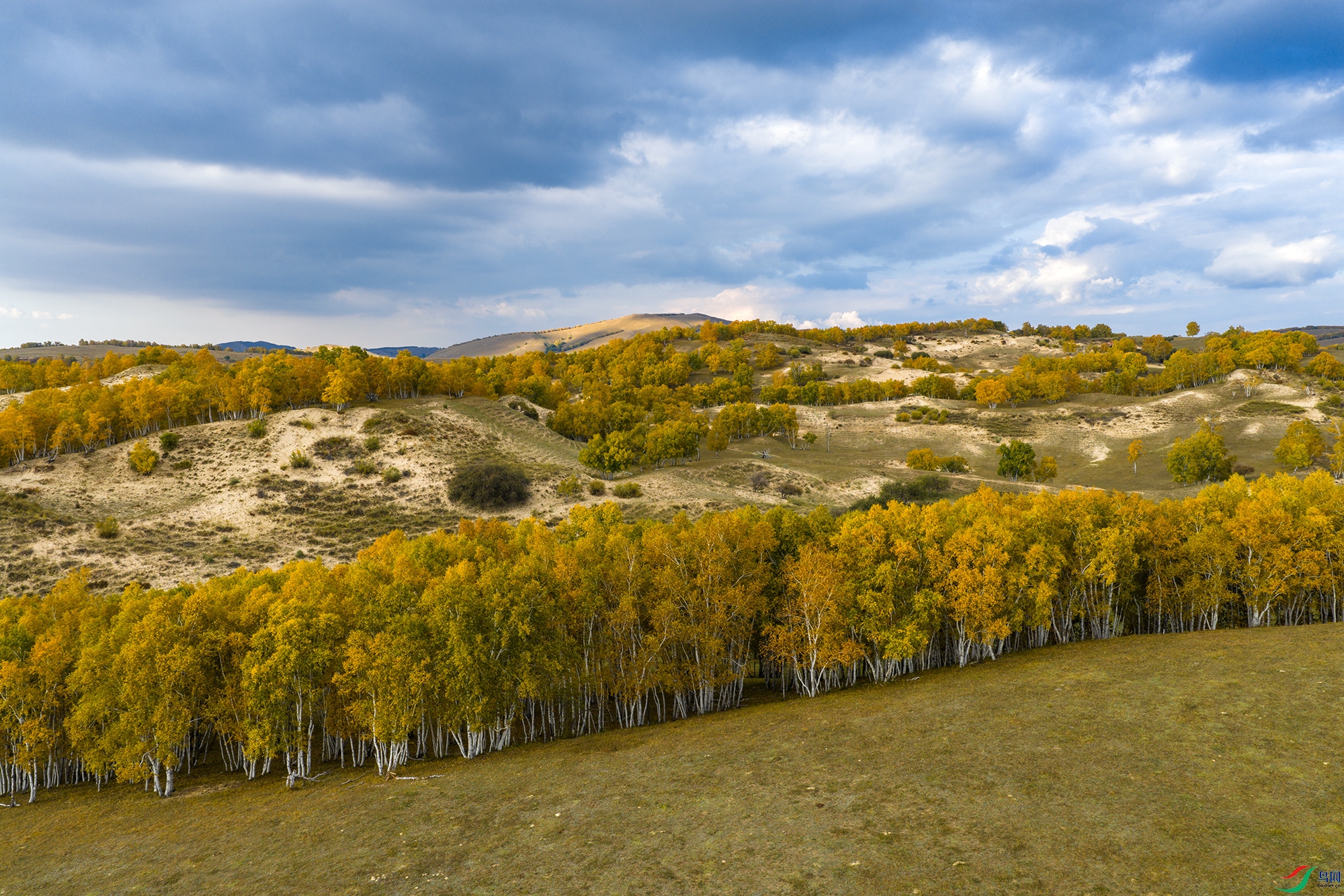 DJI_20250922163350_0175_D ����a.jpg