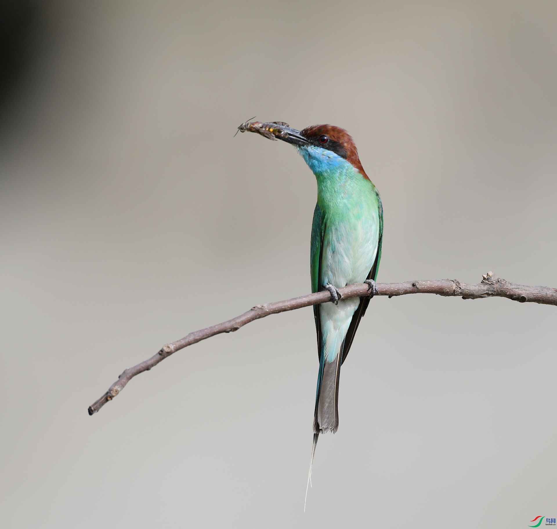 DSC_1213.jpg