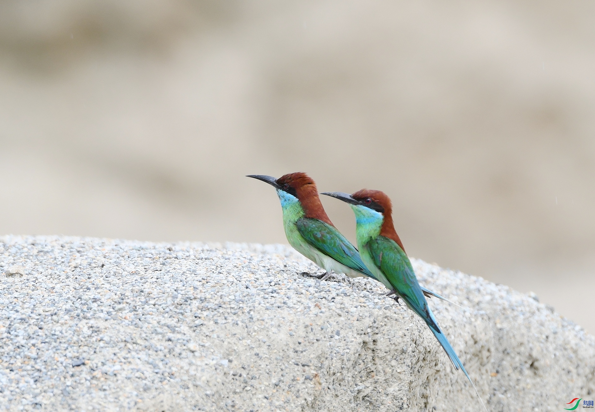 DSC_1254.jpg