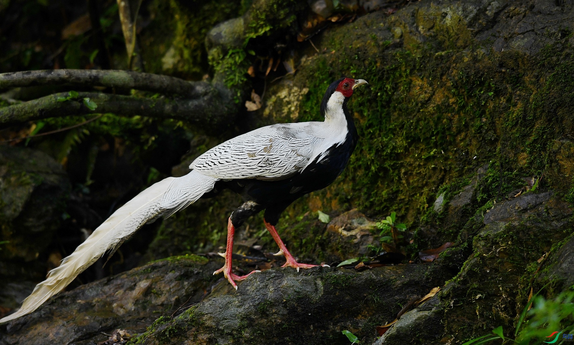 DSC_5181.jpg