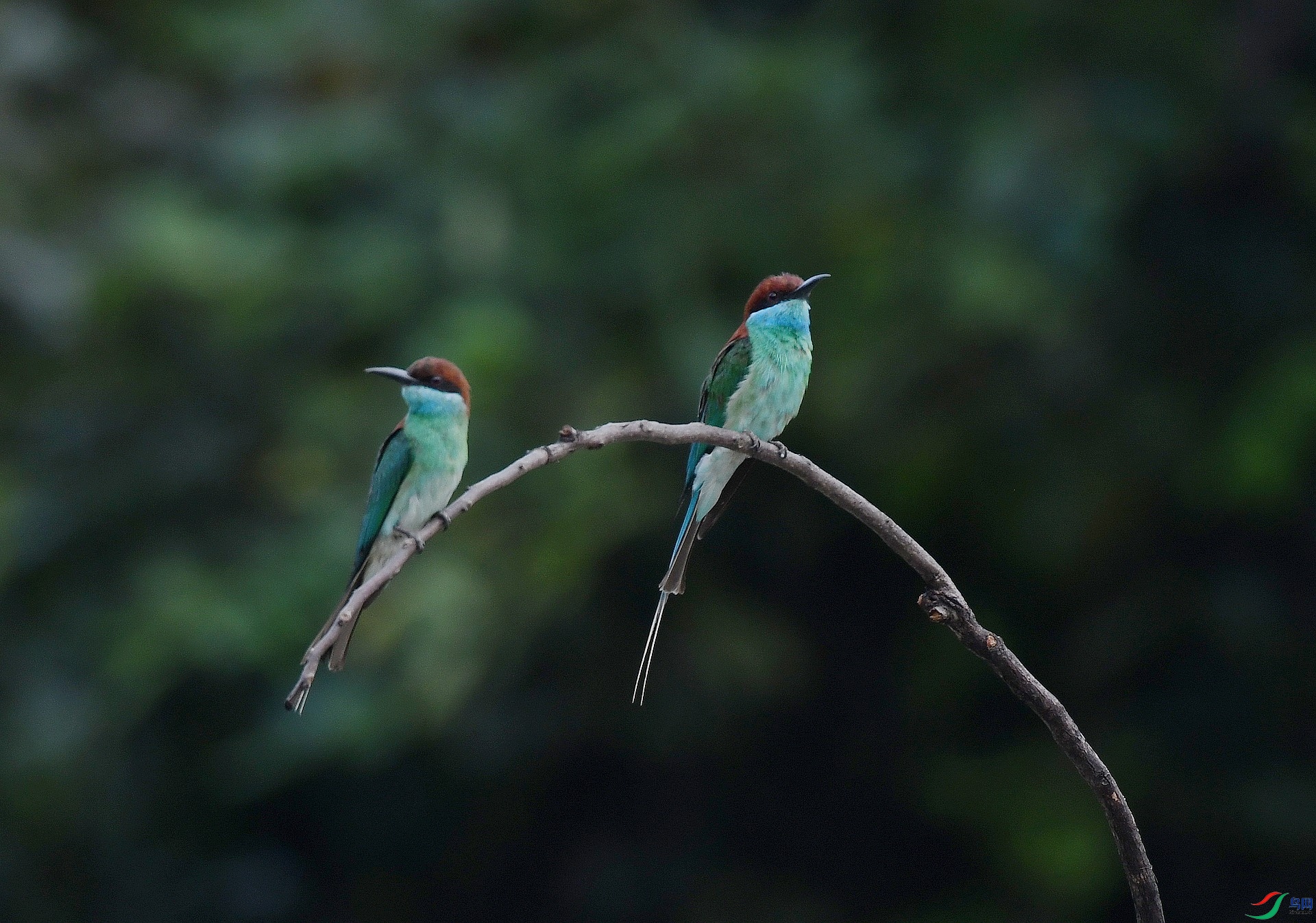 DSC_7205.jpg