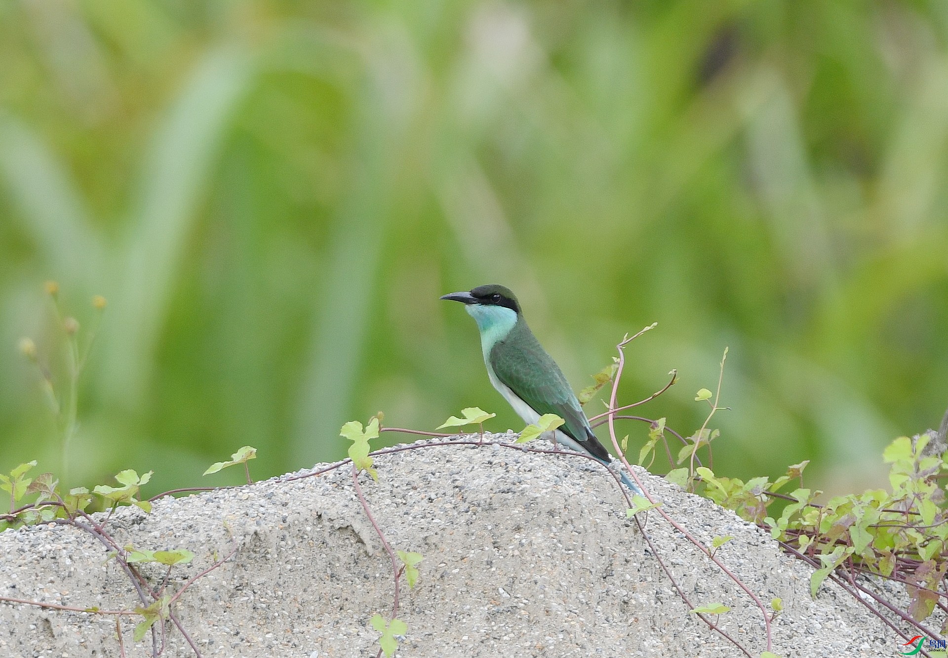 DSC_3180.jpg