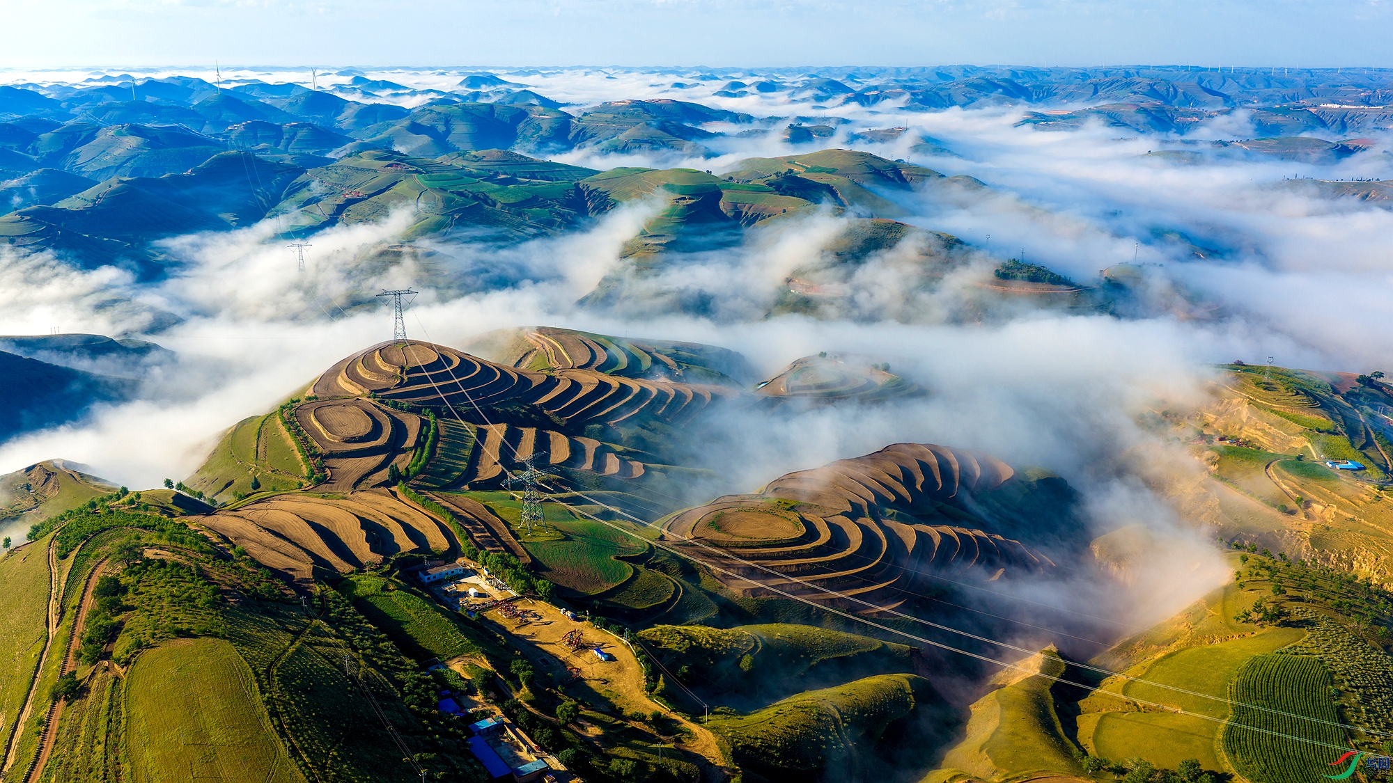DJI_20260816080033_0109_D ����_����.jpg