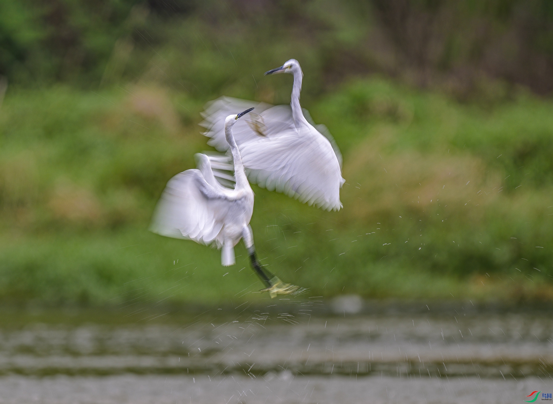 DSC_0694_����.jpg