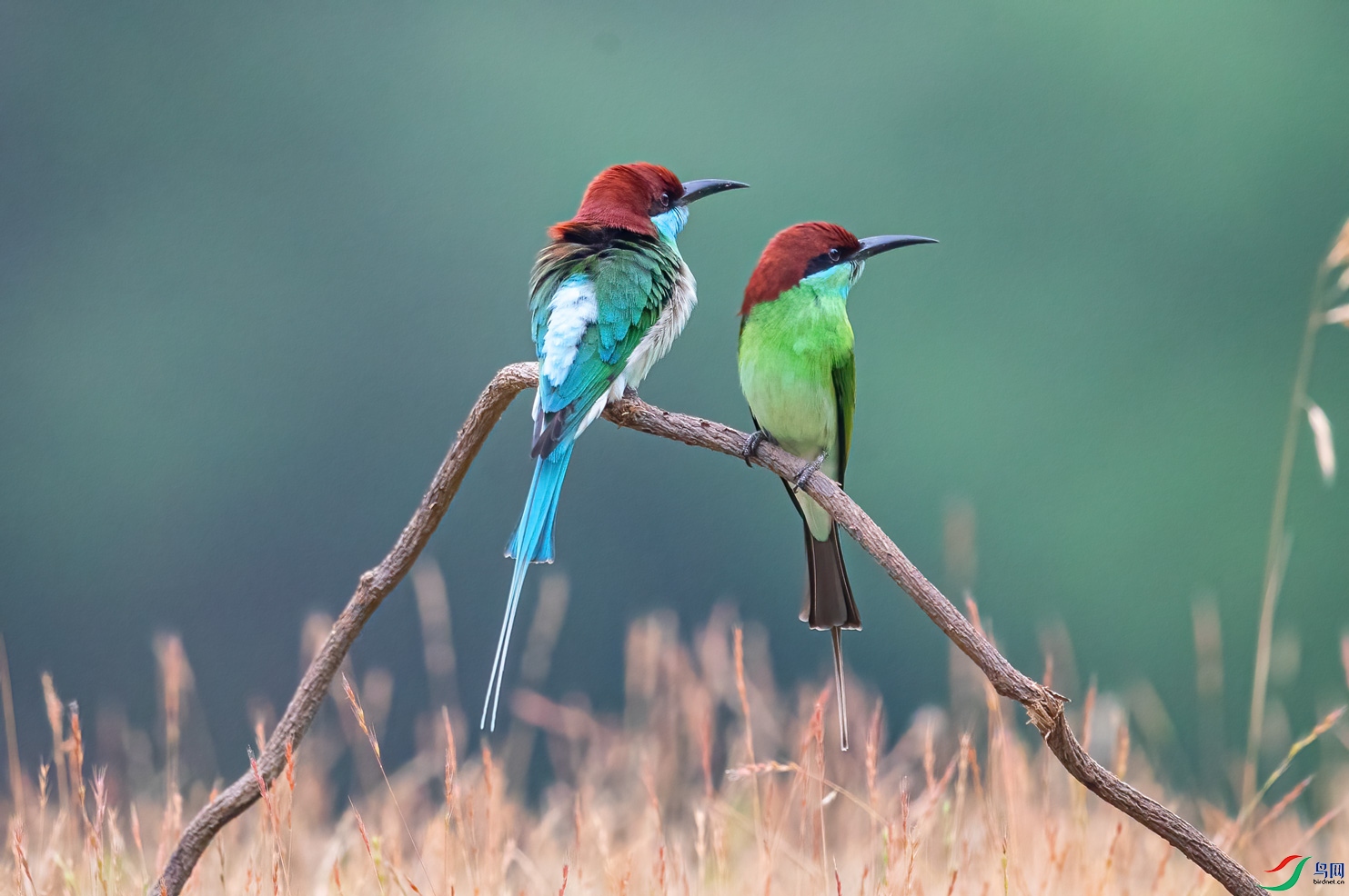 _W9I2849.jpg