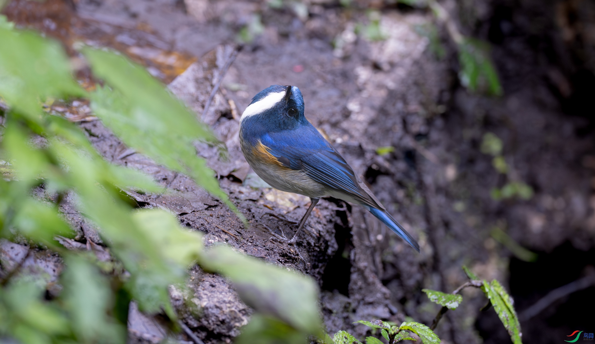 _DSC2067.jpg