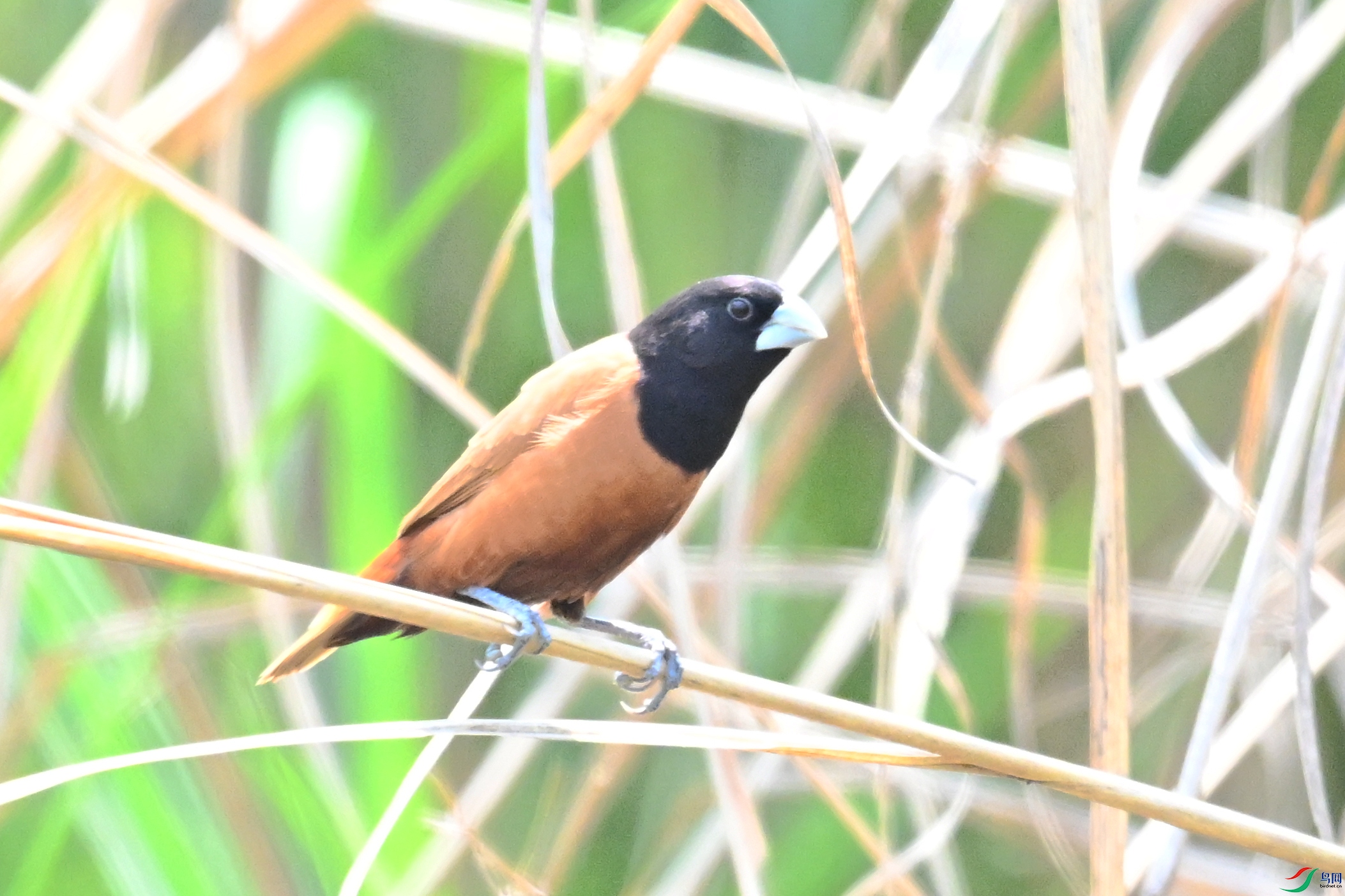 DSC_5990.JPG