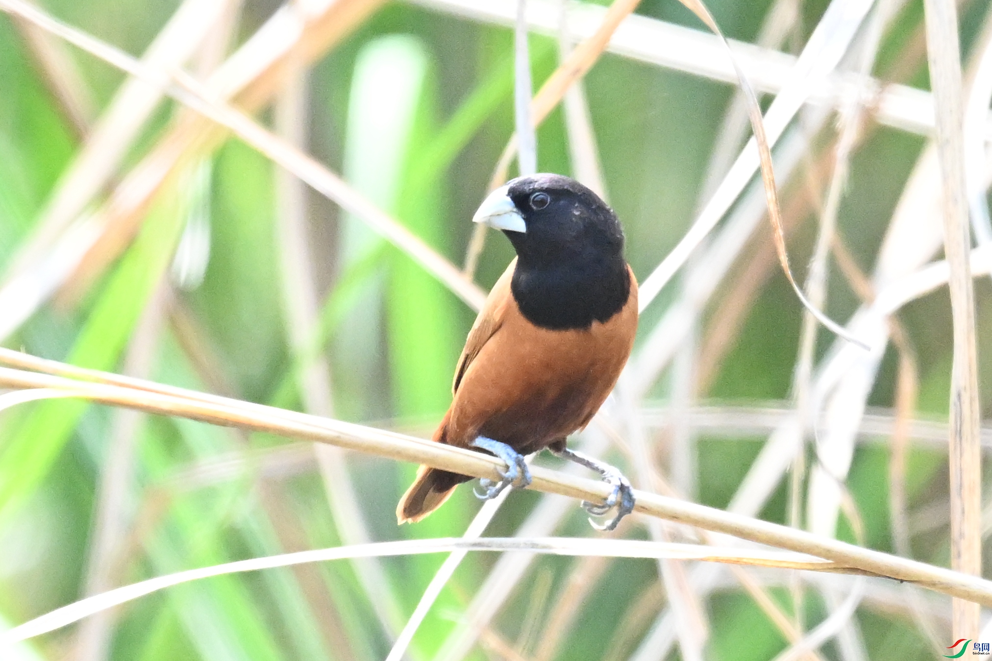 DSC_5998.JPG