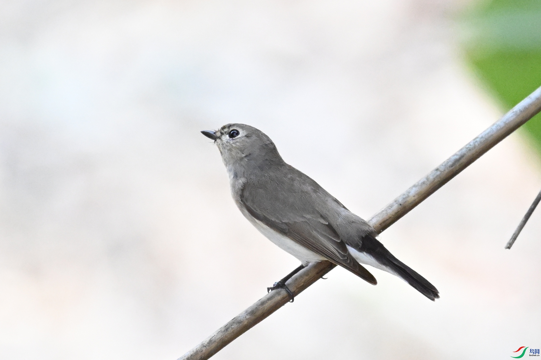 DSC_6007.JPG