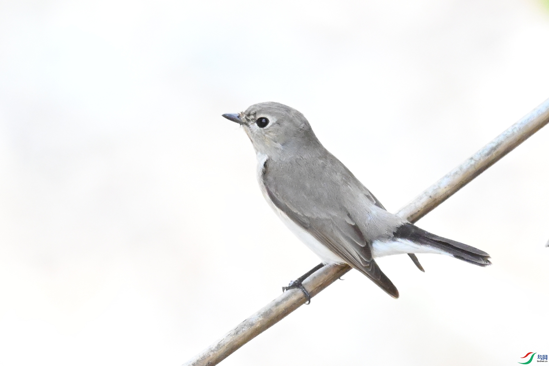 DSC_6012.JPG