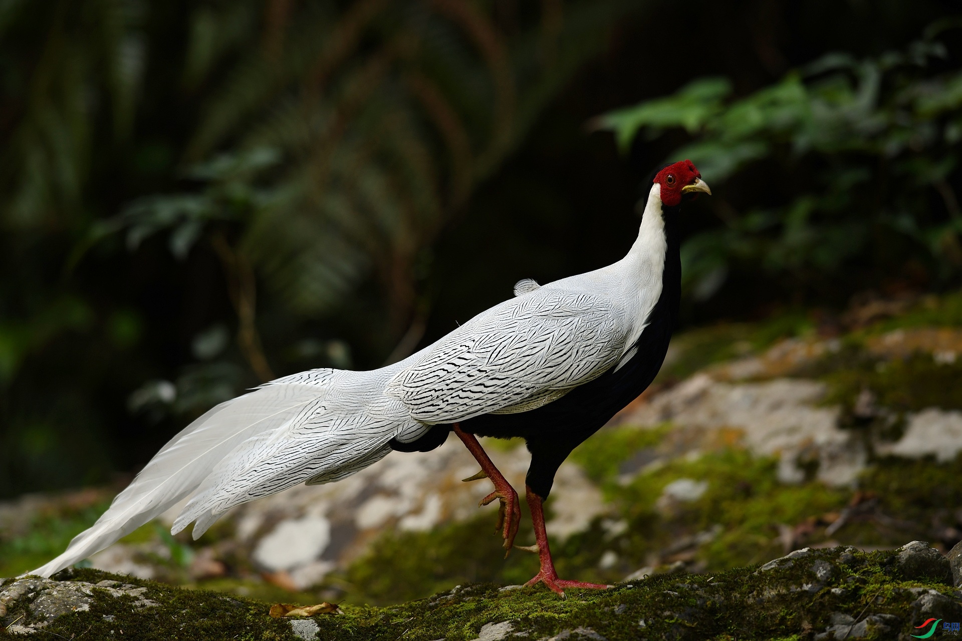 DSC_3496.jpg