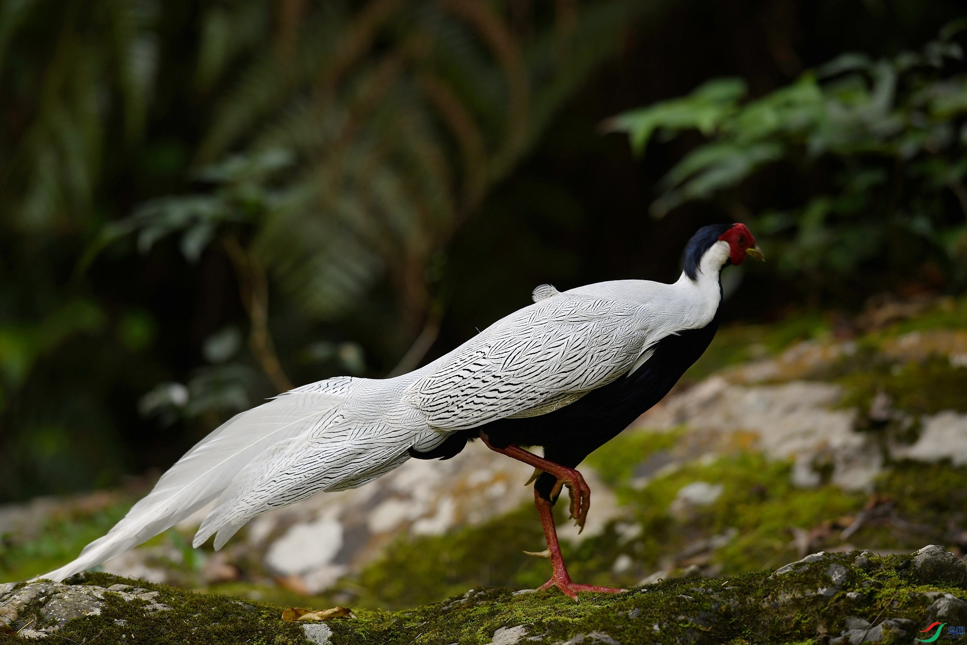 DSC_3498.jpg