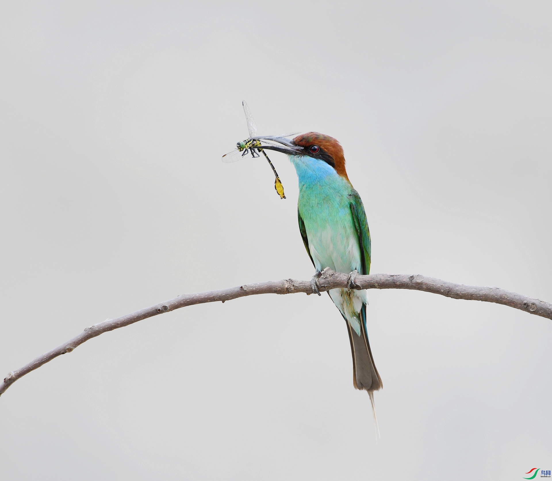 DSC_3118.jpg