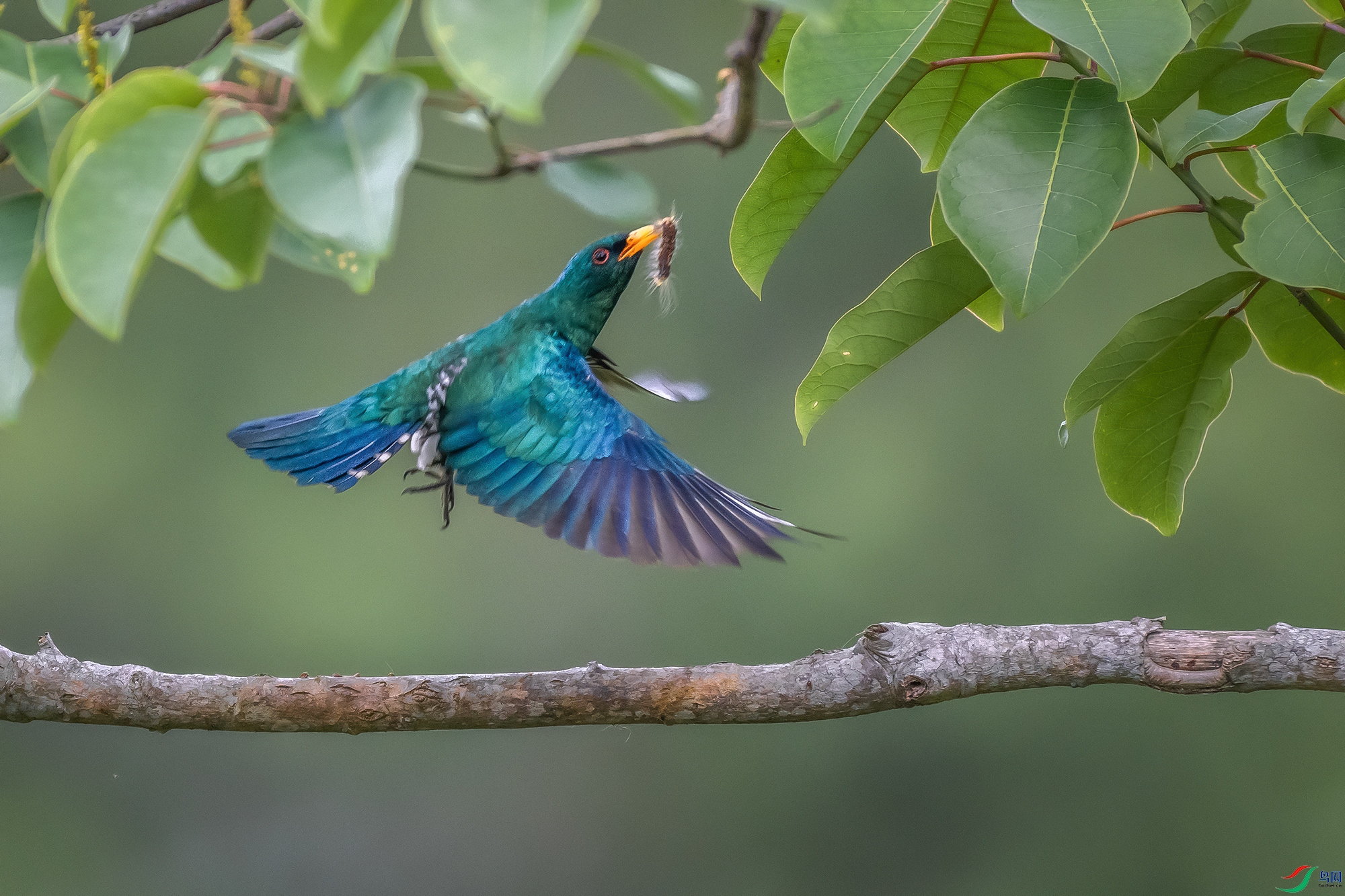 DSC_4192-1.jpg