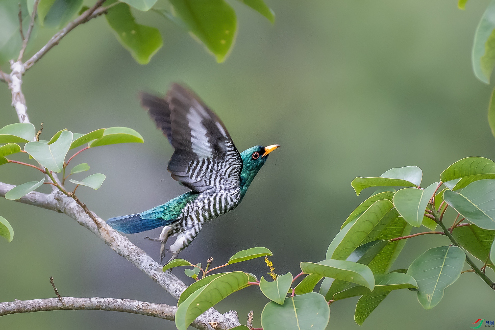 DSC_4284-1.jpg