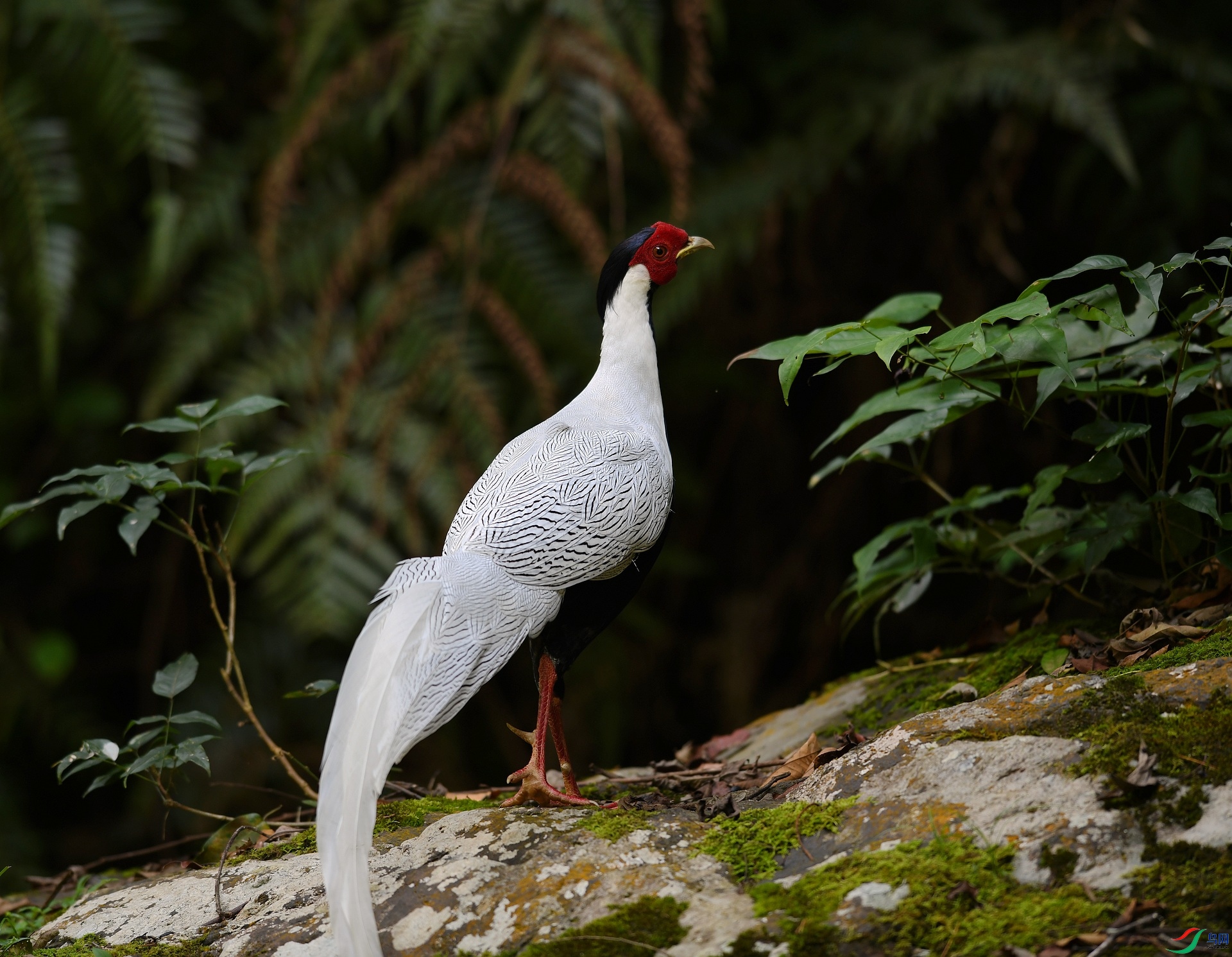 DSC_3500.jpg