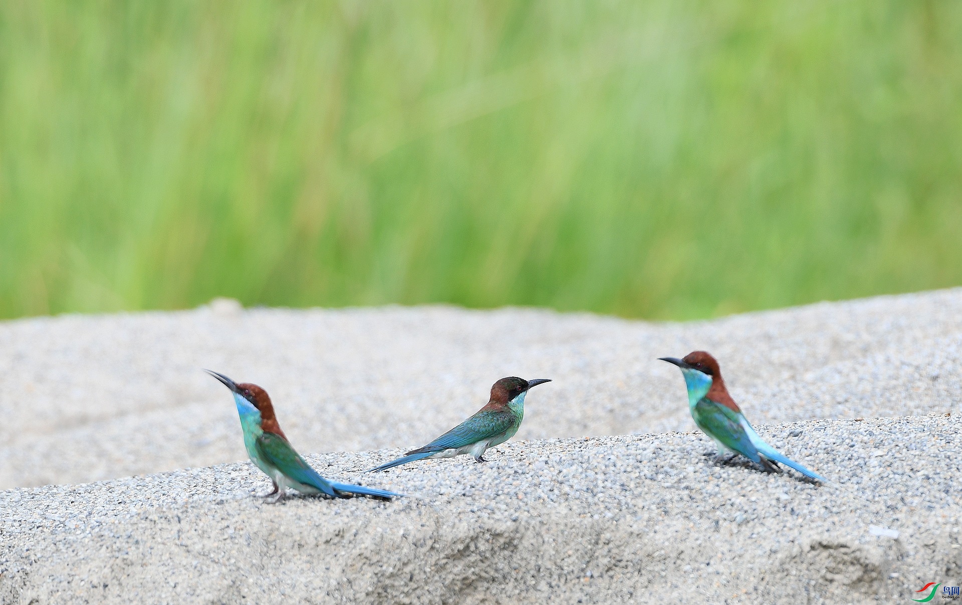 DSC_3059.jpg