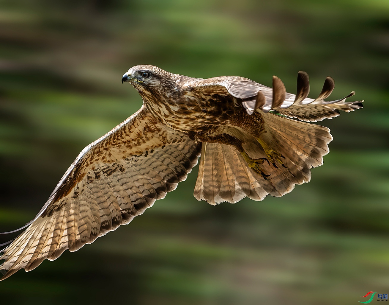 _DSC6063x.jpg