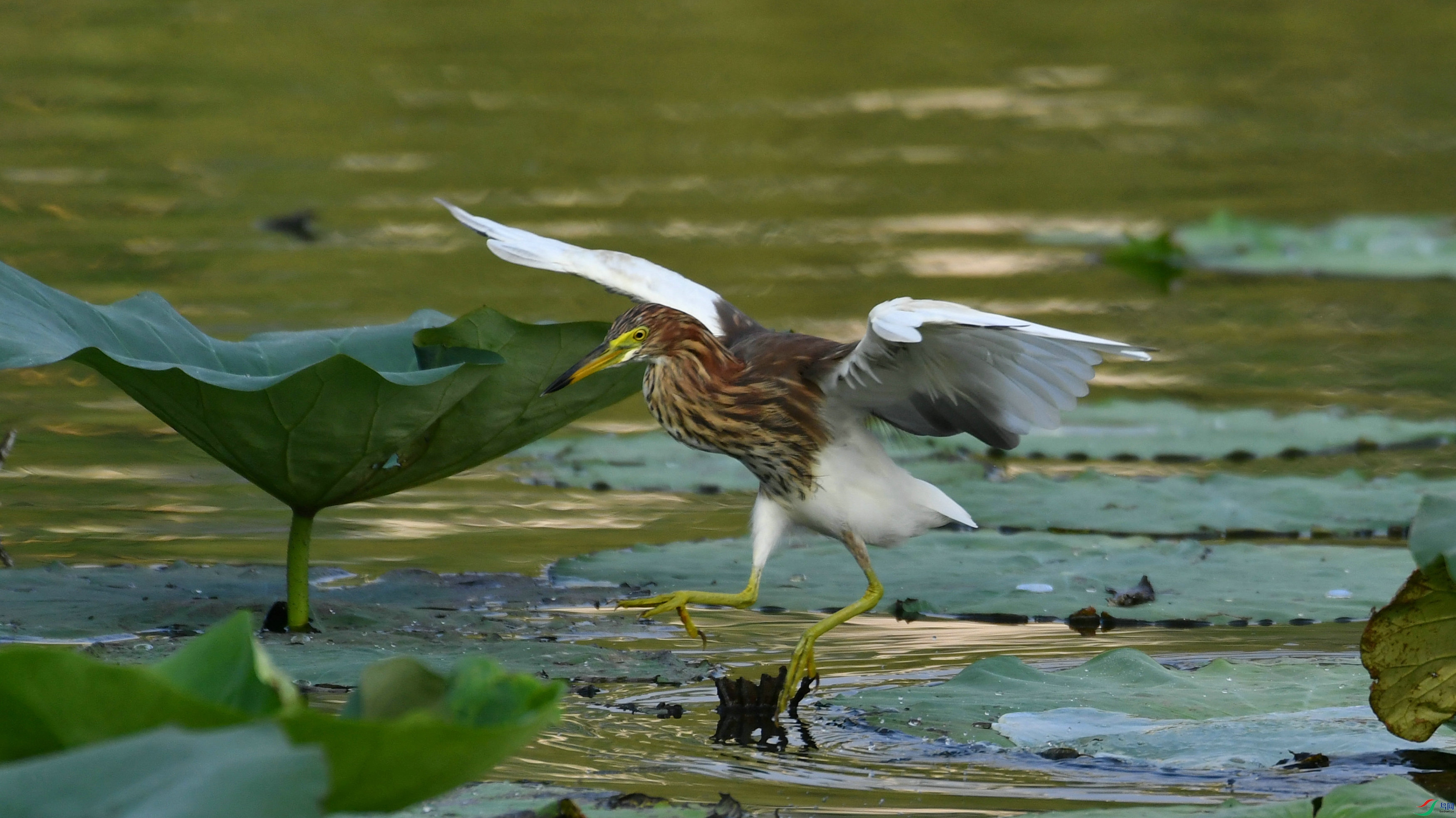 DSC_3649.JPG