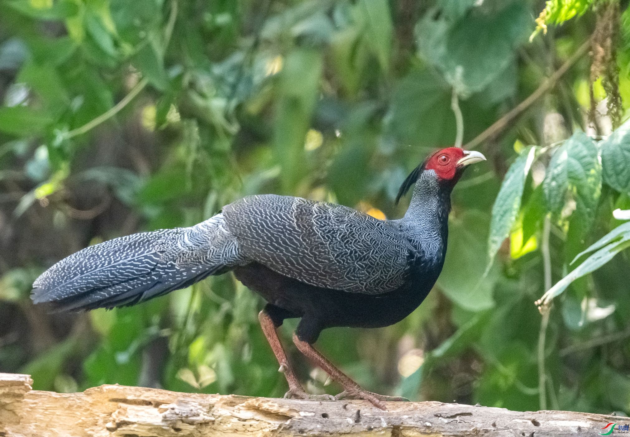 DSC_5348_����.jpg