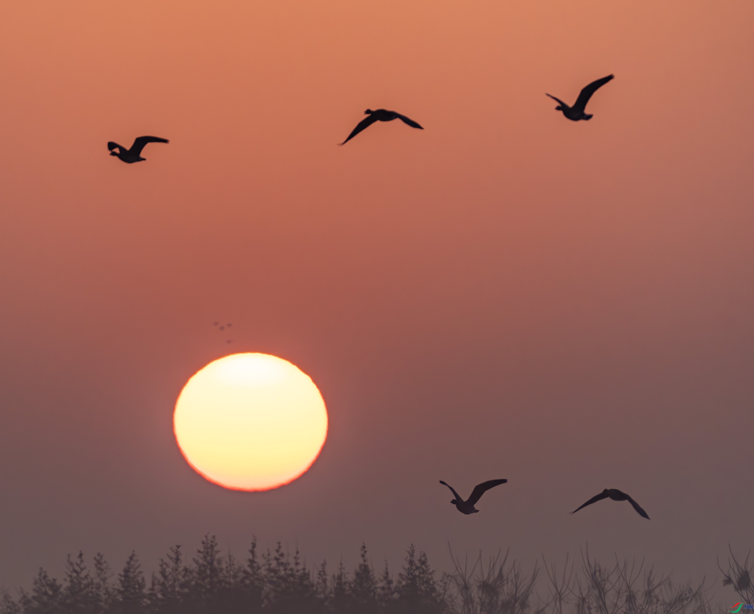 �ճ�-01-20.jpg