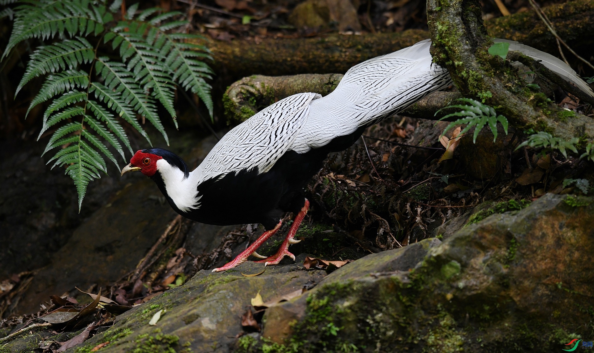 DSC_3853.jpg