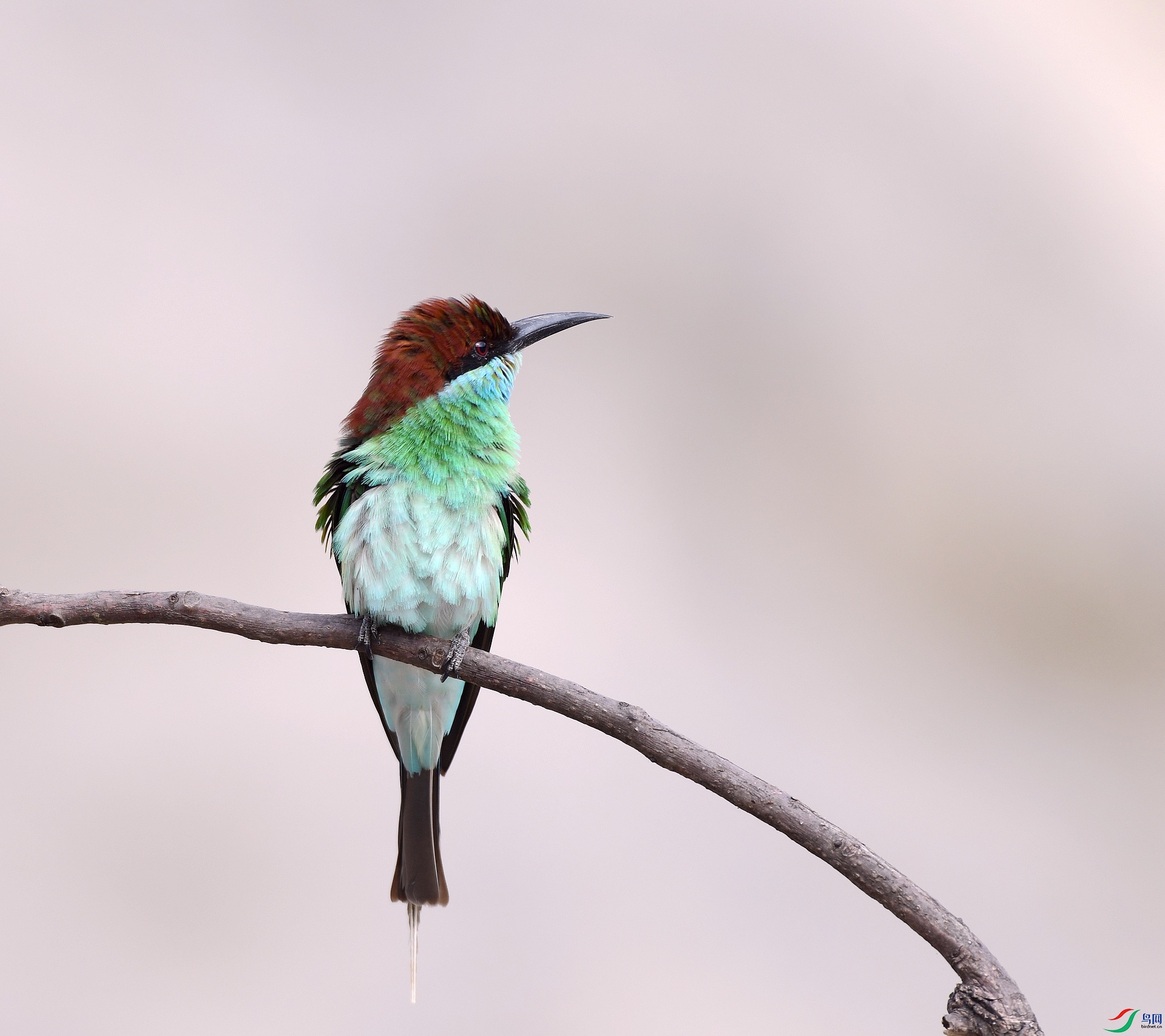 DSC_2575.jpg