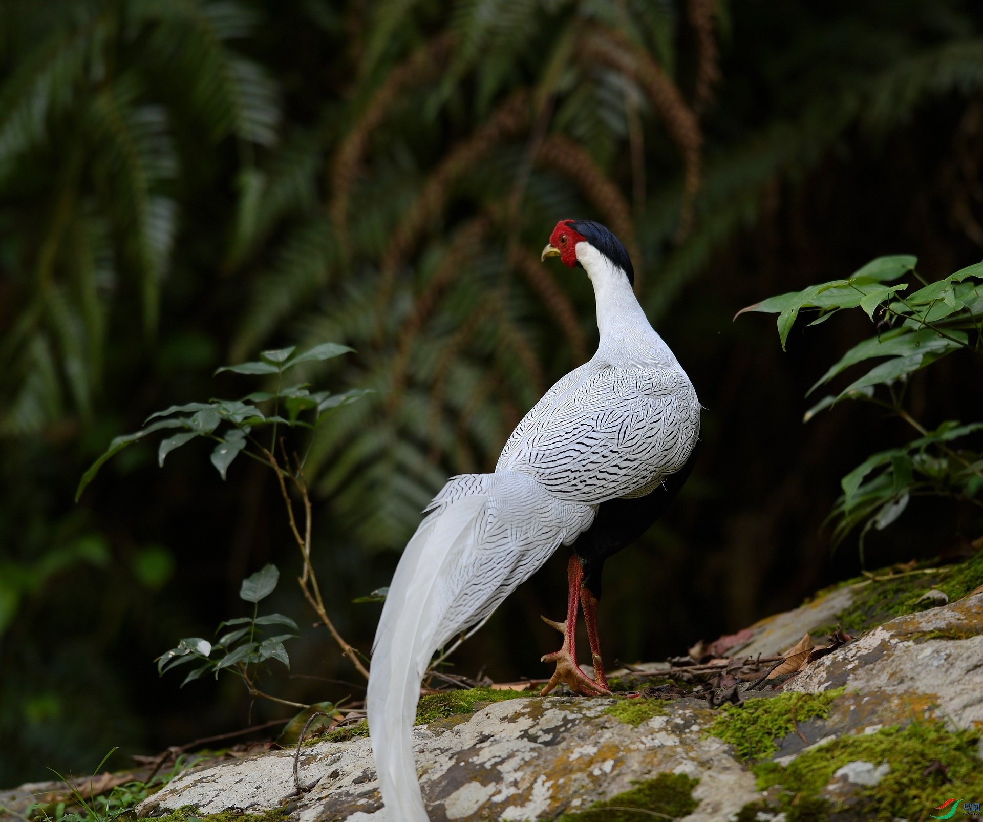 DSC_3503.jpg