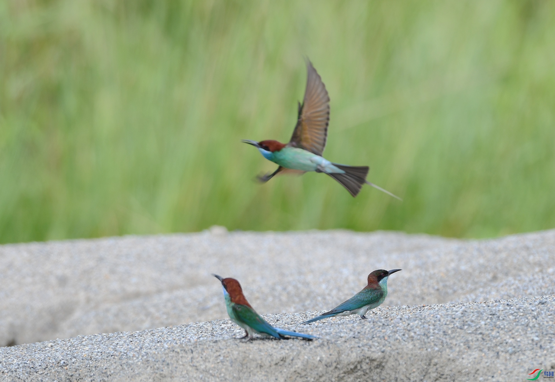 DSC_3064.jpg
