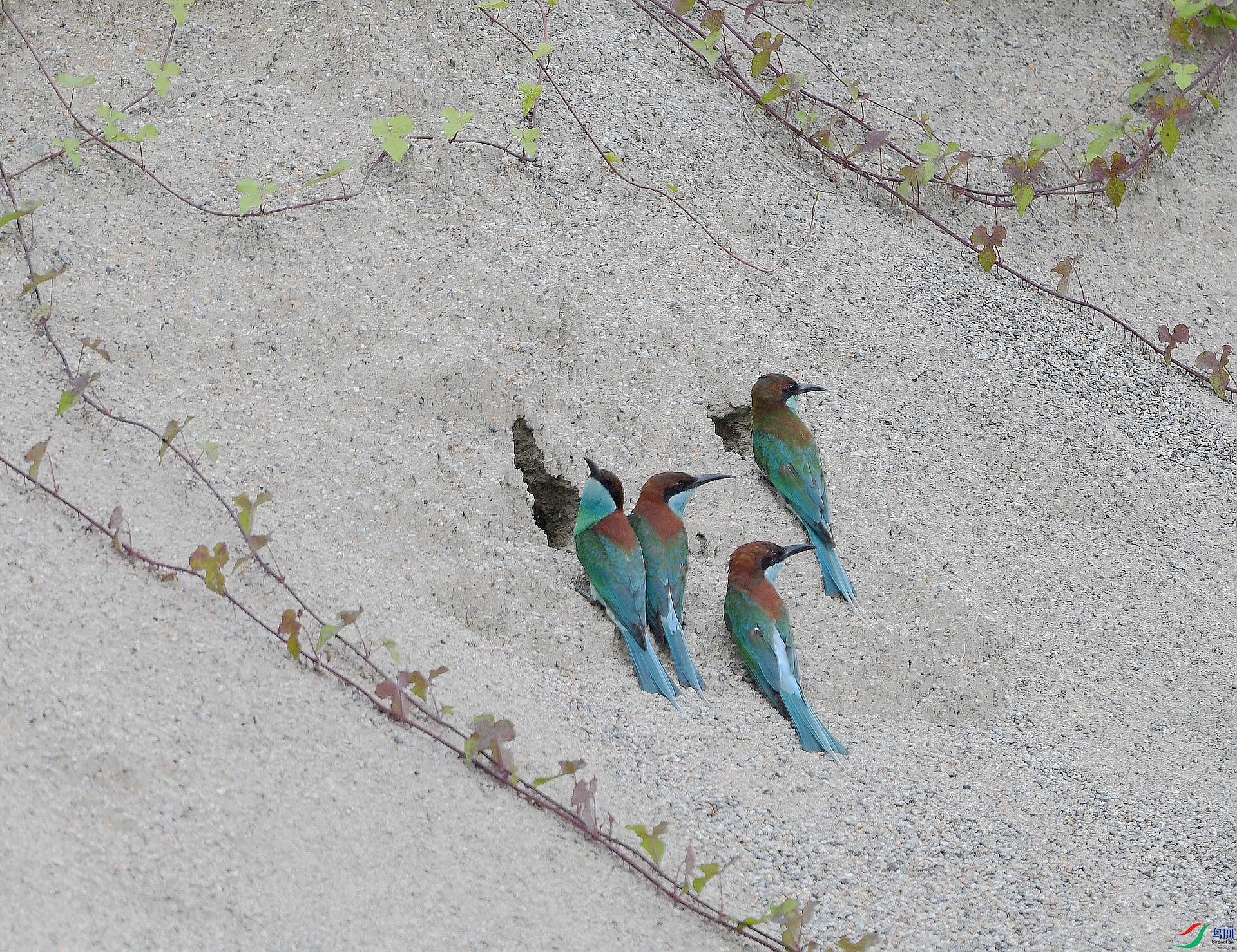 DSC_3168.jpg